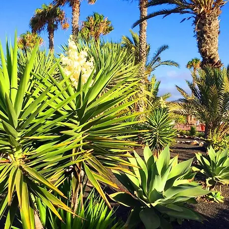 Casita Blanca, Jardín Del Sol 1 Сasa de vacaciones *